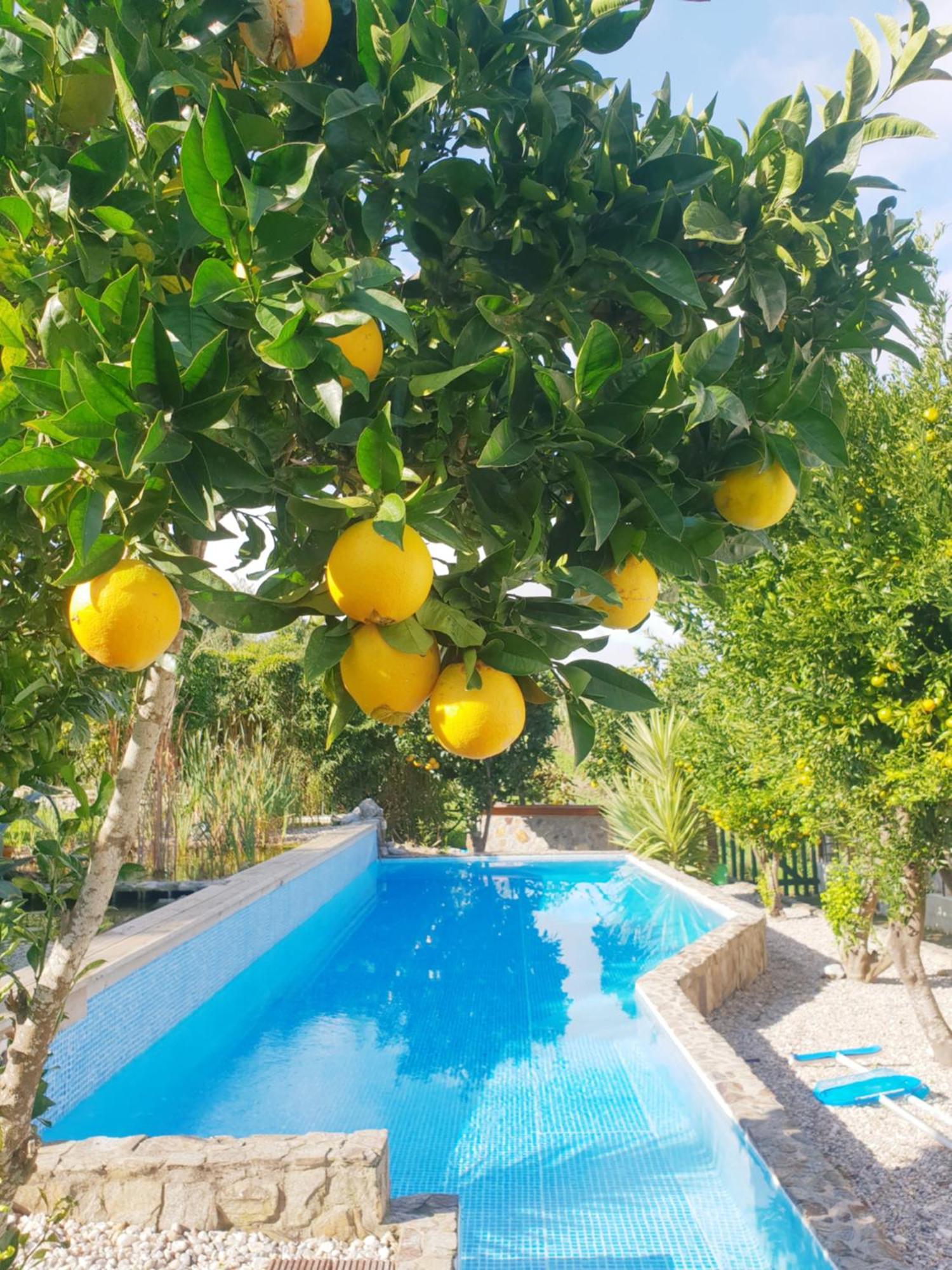 The Far End Surf House - Surf & Yoga Holidays Lourinha  Bagian luar foto